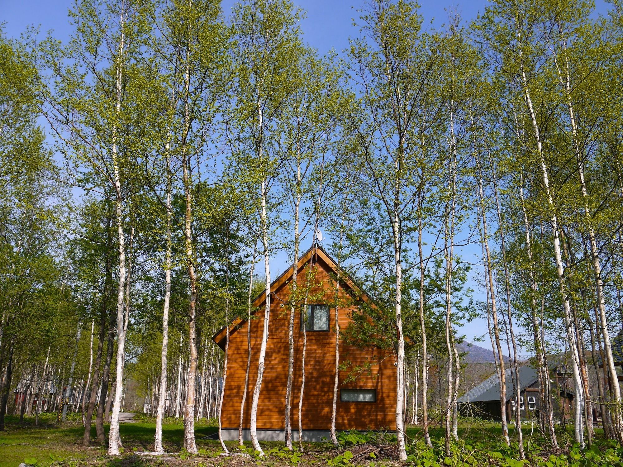 קוטצ'אן Country Resort Niseko מראה חיצוני תמונה